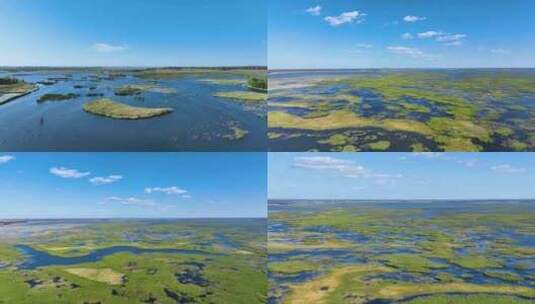 湿地自然保护区 美丽中国高清在线视频素材下载