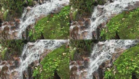 森林山涧小溪瀑布河流绿色苔藓高清在线视频素材下载