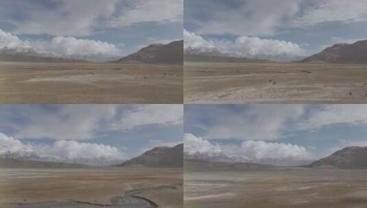 新疆塔县草原雪山牛羊-2高清在线视频素材下载
