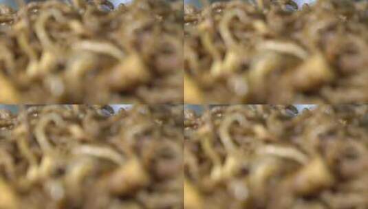 油炸茶树菇高清在线视频素材下载