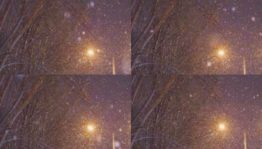 夜晚下大雪高清在线视频素材下载