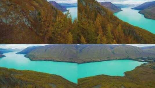 航拍新疆喀纳斯秋天森林河流湖泊自然风景高清在线视频素材下载