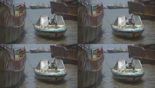 渔港渔船高清在线视频素材下载