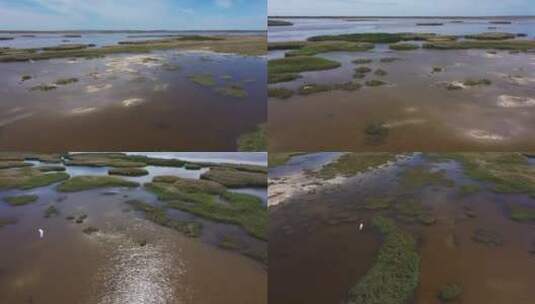 科右中旗湿地航拍视频高清在线视频素材下载