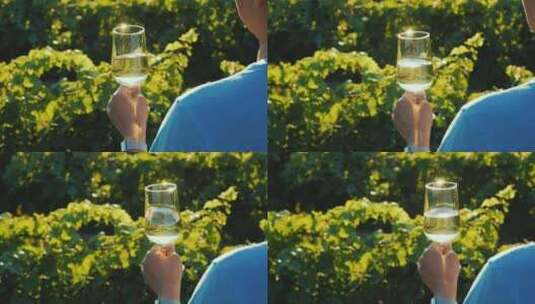 男人在葡萄园拿着一杯白葡萄酒高清在线视频素材下载