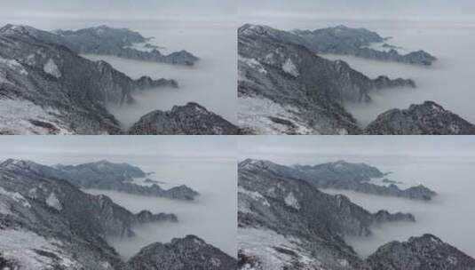 航拍湖北神农架冬季冬天群山冰雪雪松雪景高清在线视频素材下载