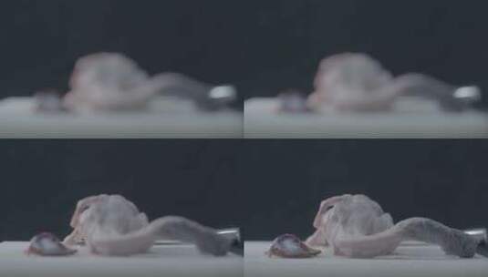 红烧野鸭制作流程LOG视频素材高清在线视频素材下载