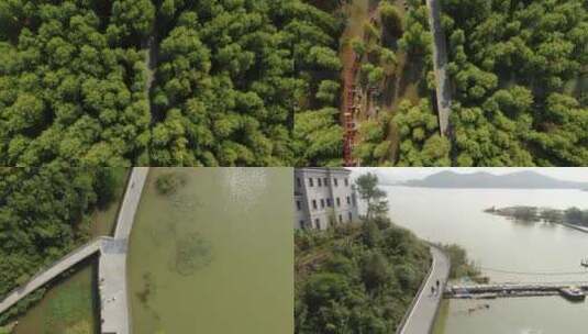 航拍杭州青山湖水上森林高清在线视频素材下载