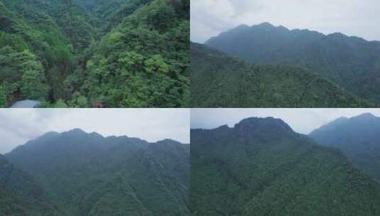 四川青城山后山自然风景区【5k合集】高清在线视频素材下载