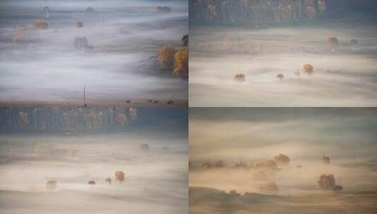 乌兰布统大草原秋天的晨雾高清在线视频素材下载