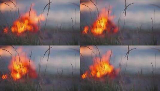 火焰芦苇草-意识流1.MP4高清在线视频素材下载