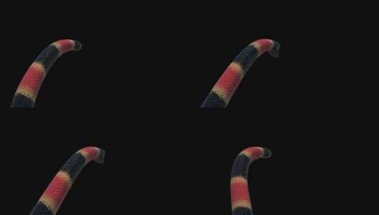 三维特效蟒蛇珊瑚蛇眼镜蛇合成特效素材 (2)高清在线视频素材下载