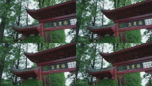 武汉东湖磨山景区盆景园高清在线视频素材下载