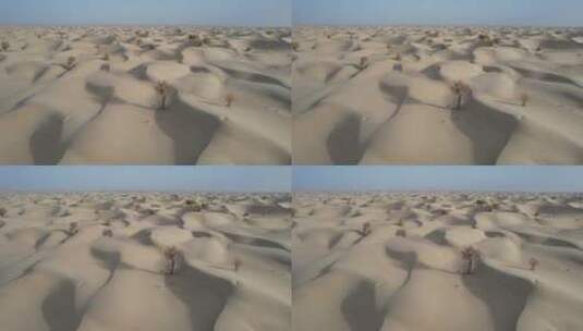 原创 新疆塔克拉玛干沙漠公路旅行高清在线视频素材下载