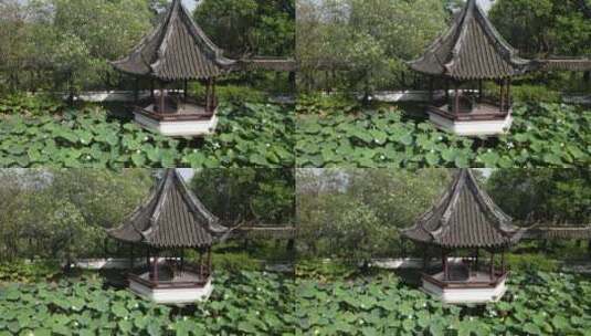 荷花园荷花荷叶空镜古典园林4K航拍高清在线视频素材下载