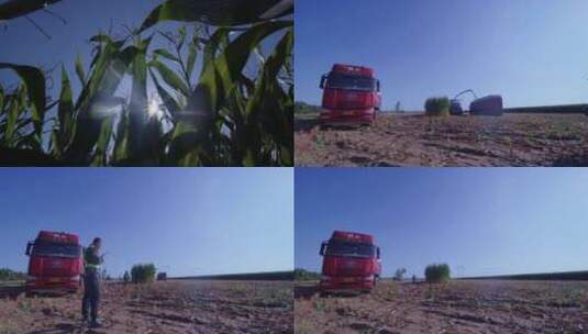 4K+50fps高帧速率拍摄牧业玉米青贮收割高清在线视频素材下载