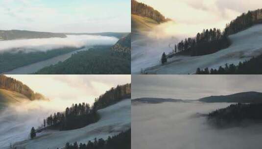 森林晨雾 云雾缭绕 仙气飘飘高清在线视频素材下载