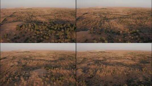 阿联酋阿布扎比沙漠日落4高清在线视频素材下载