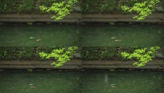 杭州云栖竹径春季清明节雨天古建筑自然唯美高清在线视频素材下载