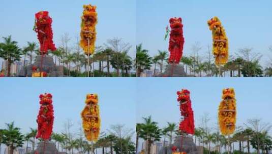春节过年舞狮醒狮高清在线视频素材下载