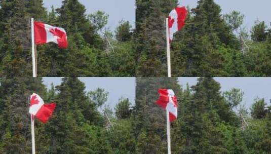 阿甘斯特风中飘扬的加拿大国旗高清在线视频素材下载
