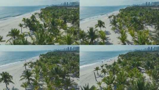 椰林阳光沙滩航拍高清在线视频素材下载
