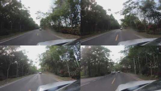汽车行驶在海南琼海博鳌的森林公路之间高清在线视频素材下载