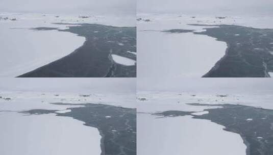 南极洲雪地和海洋上空的空中飞行高清在线视频素材下载