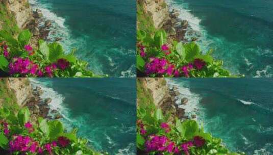 印度尼西亚巴厘岛乌鲁瓦图寺多彩花卉海滨高清在线视频素材下载