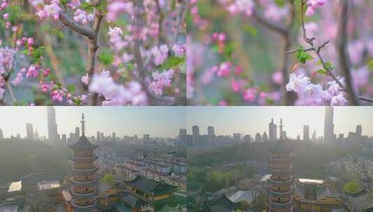 南京玄武区玄武湖景区古鸡鸣寺游客观赏樱花高清在线视频素材下载