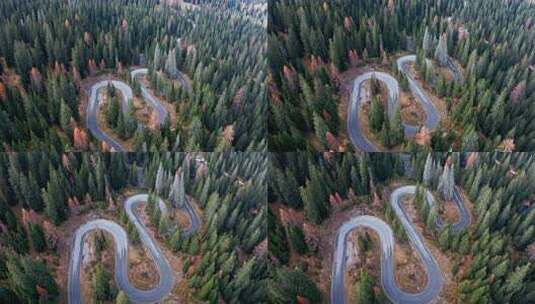 森林山地盘山公路高清在线视频素材下载