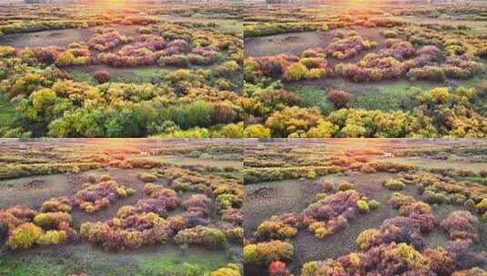 秋季多彩湿地景观高清在线视频素材下载