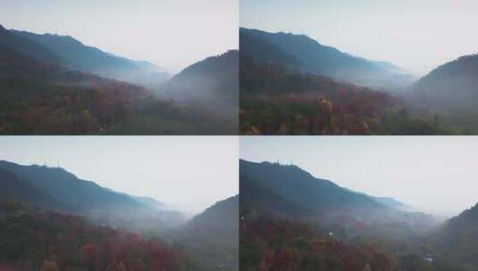 杭州西湖景区飞来峰景区永福寺秋色高清在线视频素材下载