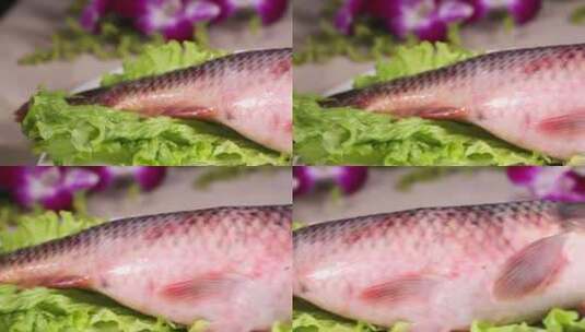 水产鲜美草鱼 (3)高清在线视频素材下载