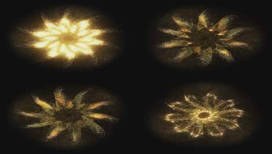金色粒子花朵背景高清在线视频素材下载