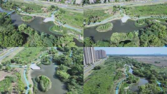 花桥周浦湿地公园高清在线视频素材下载