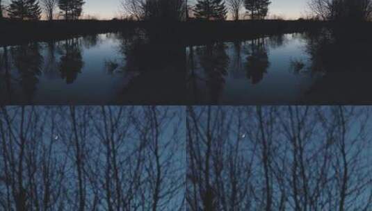 傍晚森林湖泊月亮倒影高清在线视频素材下载