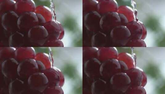 葡萄上的水流高清在线视频素材下载