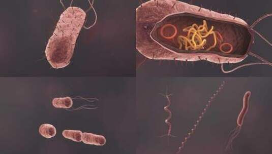 医学微观生物病毒细胞形态医疗三维动画展示高清在线视频素材下载