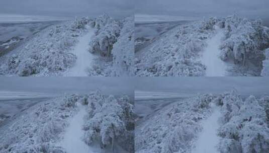 杭州临安大明山牵牛岗森林雪景云海航拍高清在线视频素材下载