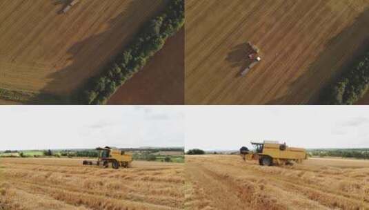 收割机割稻子丰收机械化生产航拍高清在线视频素材下载
