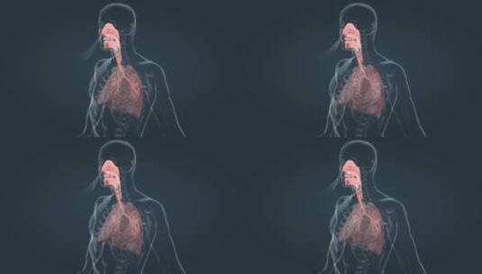 吸烟烟圈肺部病变得肺癌过程三维动画高清在线视频素材下载