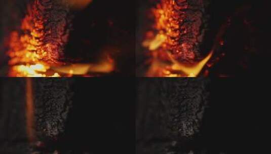 枯木烟雾火焰燃烧高级感广告高清在线视频素材下载