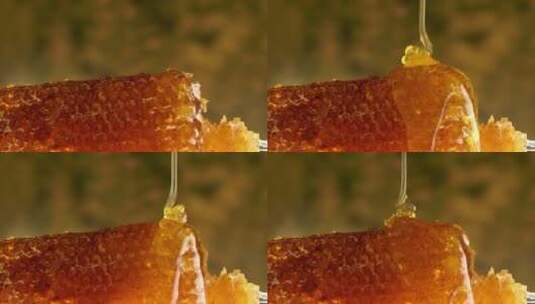 蜂蜜唯美食材野生广告精品高清在线视频素材下载