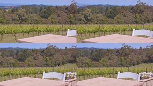 澳大利亚墨尔本葡萄园酿酒唯美风景高清在线视频素材下载