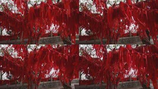 寺庙寺院祈福祈愿的红飘带和许愿树实拍素材高清在线视频素材下载