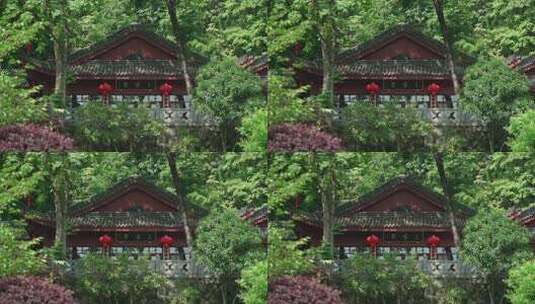 杭州三生堂 树林中的寺庙古建筑高清在线视频素材下载