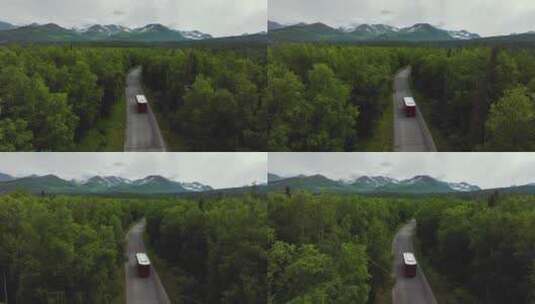 林间小路的景象高清在线视频素材下载