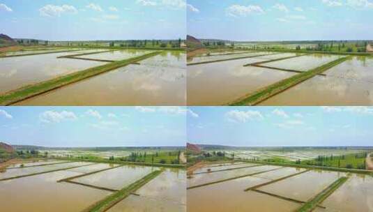 农业农田稻田水稻种植水利灌溉高清在线视频素材下载