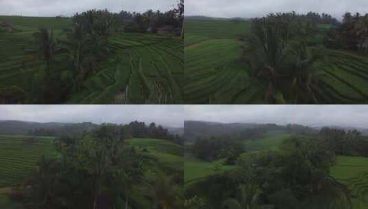 航拍视频Tegallalang水稻梯田Tegallalang村，巴厘岛，印度尼西亚高清在线视频素材下载
